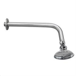 SOFFIONE DOCCIA TIPO SPIAGGIA CON BRACCIO 250mm CROMO IDROBLOCK