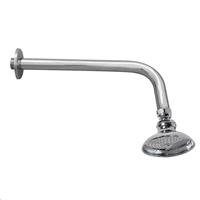 SOFFIONE DOCCIA TIPO SPIAGGIA CON BRACCIO 250mm CROMO IDROBLOCK